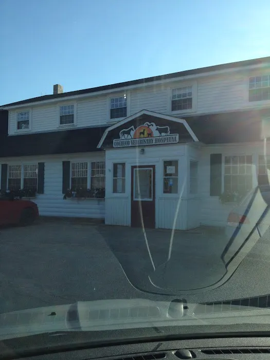 Cocheco Veterinary Hospital 3