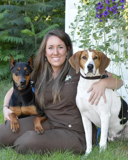Cocheco Veterinary Hospital 9