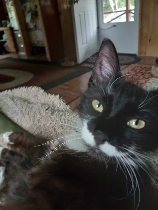 Rozzie May Animal Alliance Inc 8