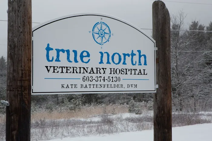 True North Veterinary Hospital 2