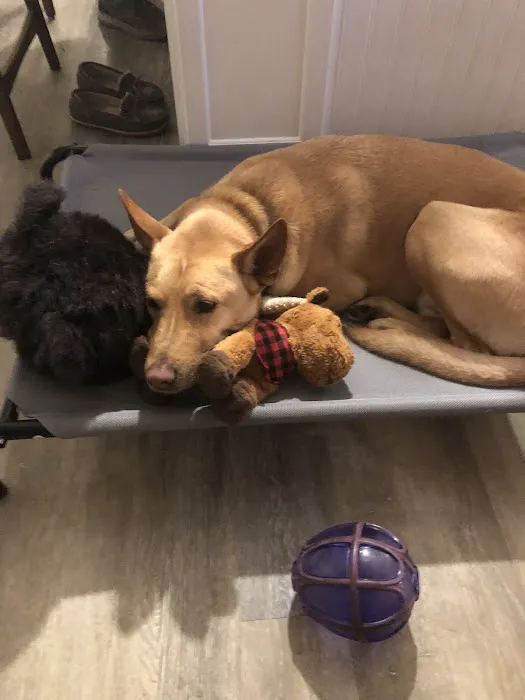 True North Veterinary Hospital 1
