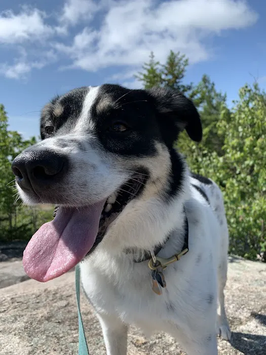 True North Veterinary Hospital 7