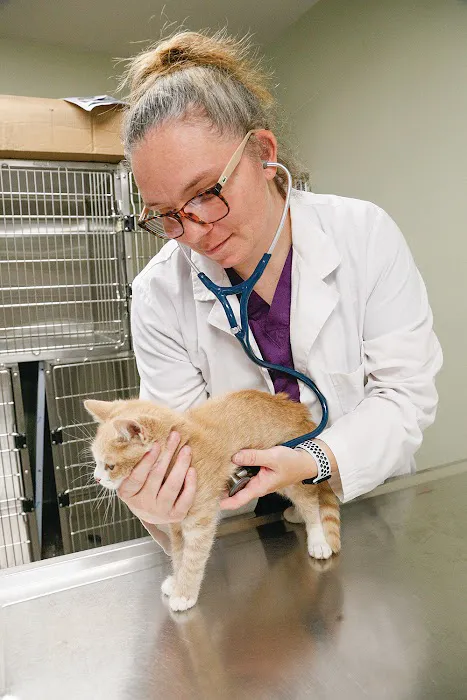 Valley Animal Hospital Conway, NH 2