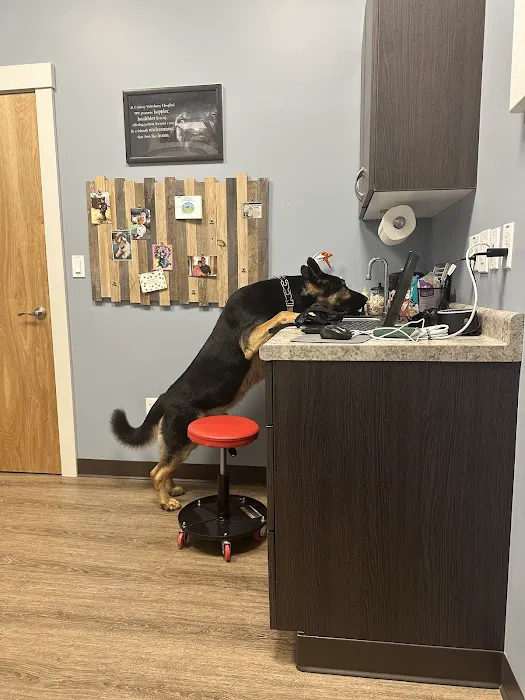 Conway Veterinary Hospital 5