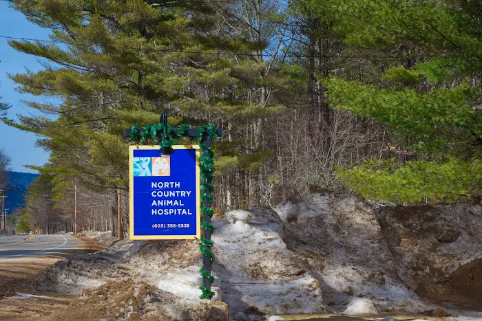 North Country Animal Hospital 3
