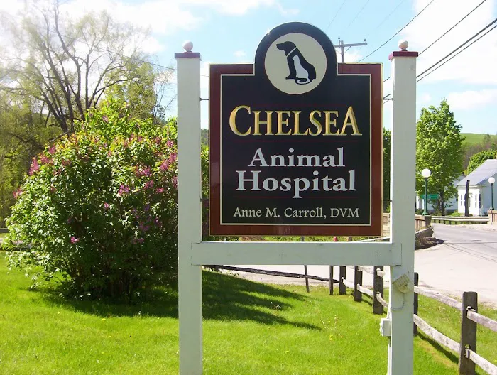 Chelsea Animal Hospital 2