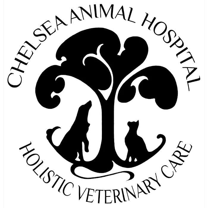 Chelsea Animal Hospital 7