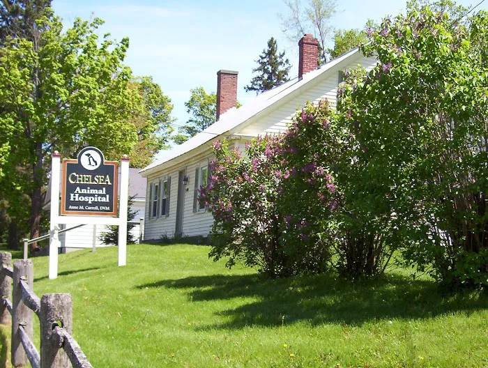 Chelsea Animal Hospital 8