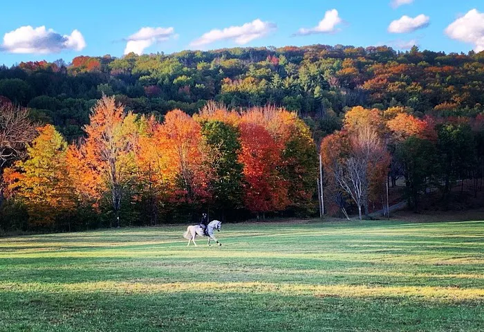 Fieldstone Equine Clinic 3