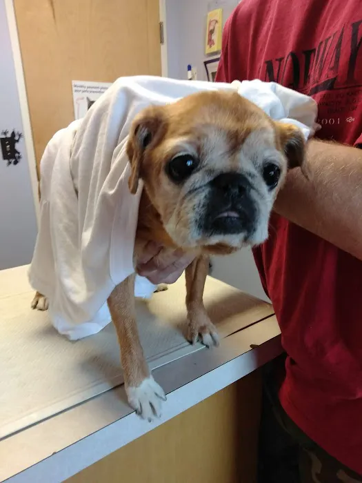 Country Animal Hospital 10