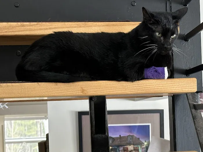Brattleboro Veterinary Clinic 7