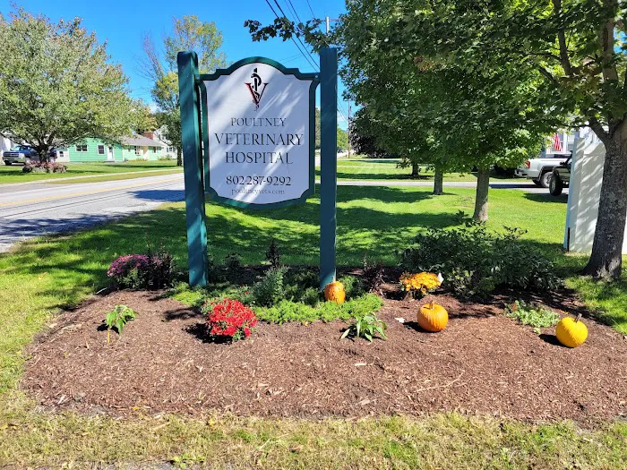 Poultney Veterinary Hospital 3