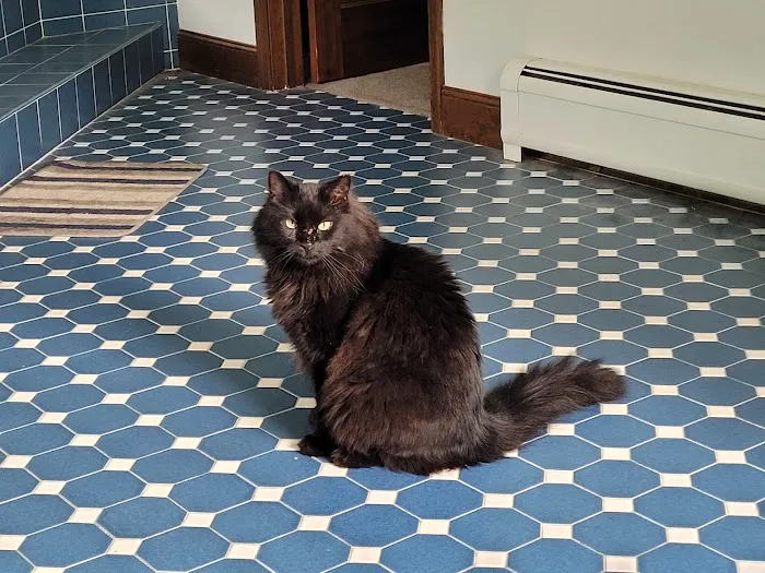 Poultney Veterinary Hospital 4