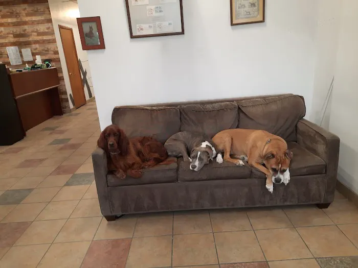 Main St. Animal Hospital 1