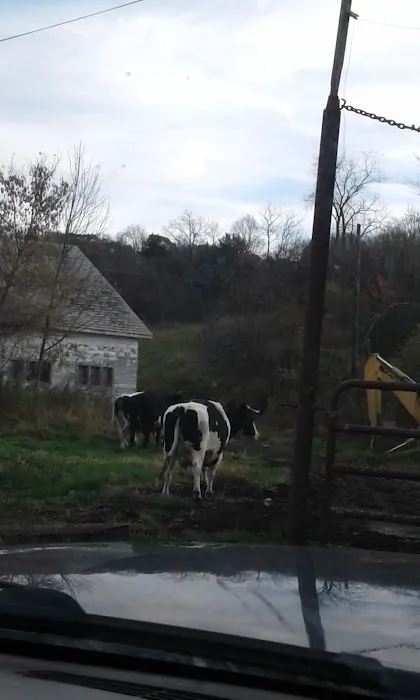 Granville Veterinary Service, Large Animal 3