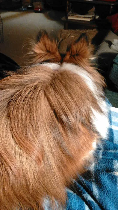 Granville Veterinary Service, Large Animal 1