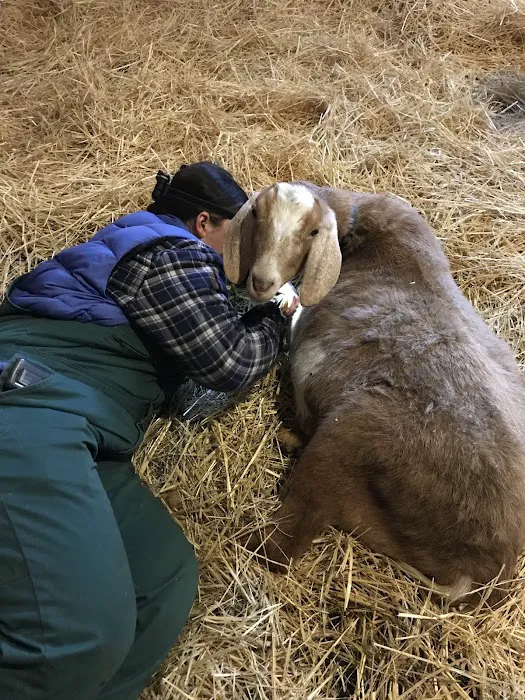 Granville Veterinary Service, Large Animal 5