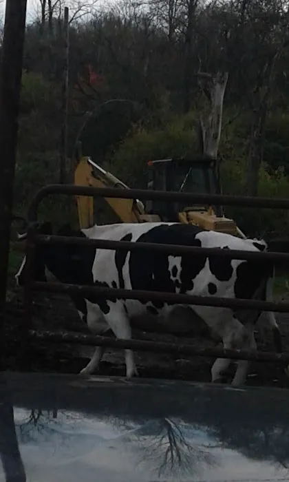 Granville Veterinary Service, Large Animal 7
