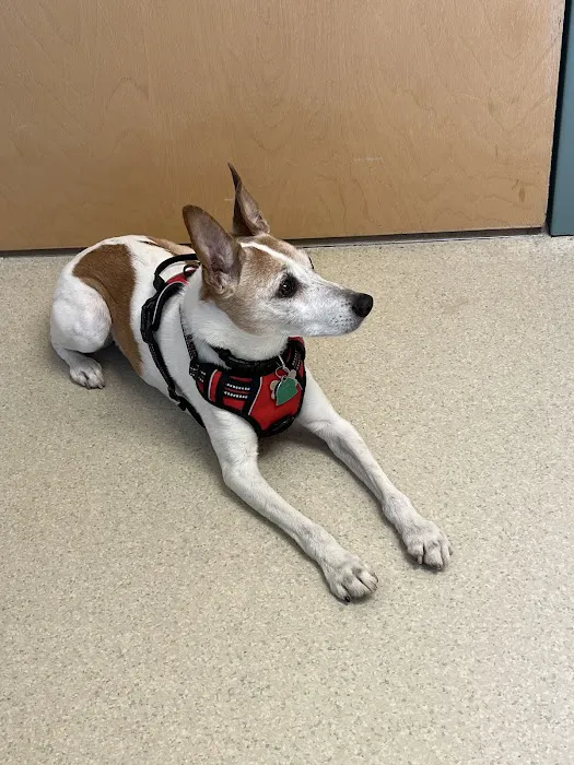 Granville Small Animal Hospital 4