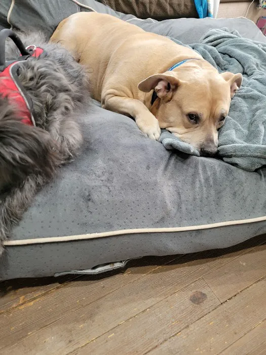 Granville Small Animal Hospital 7