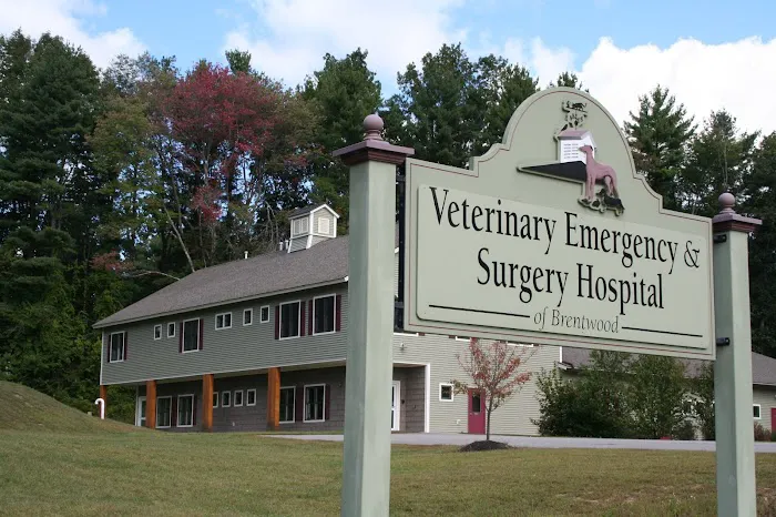 Veterinary Emergency & Surgery Hospital 2