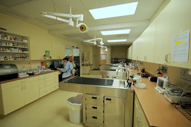 Veterinary Emergency & Surgery Hospital 1