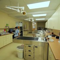 Veterinary Emergency & Surgery Hospital ico