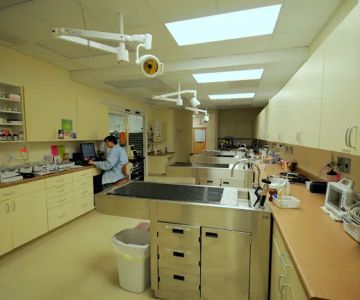 Veterinary Emergency & Surgery Hospital