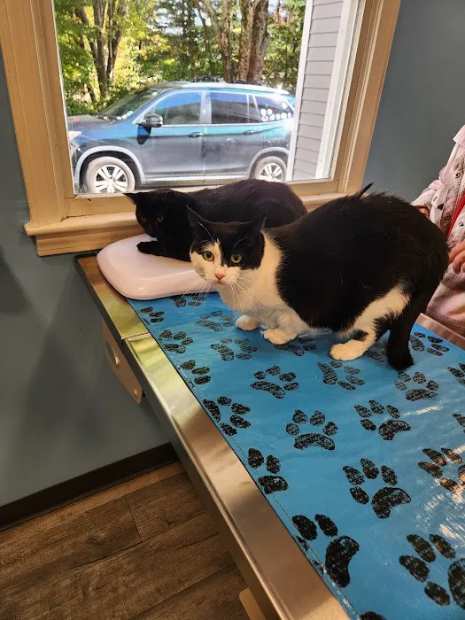 Mitchell Animal Hospital, PLLC 5