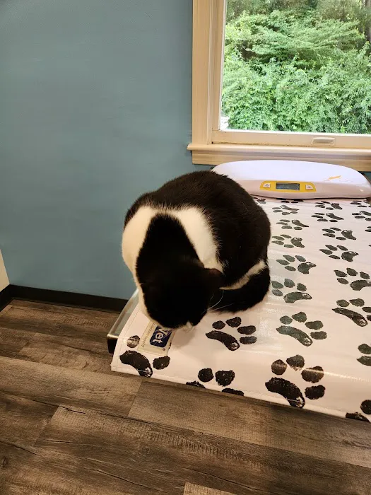 Mitchell Animal Hospital, PLLC 8
