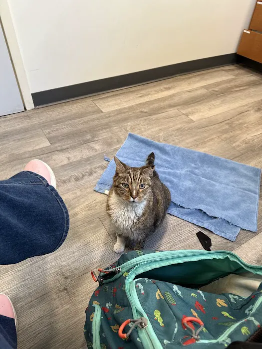 Mitchell Animal Hospital, PLLC 10
