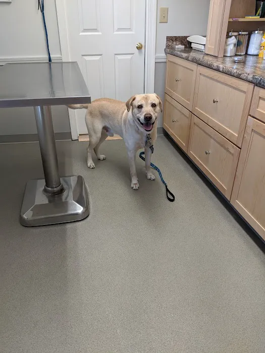 Brentwood Country Animal Hospital, PLLC 5
