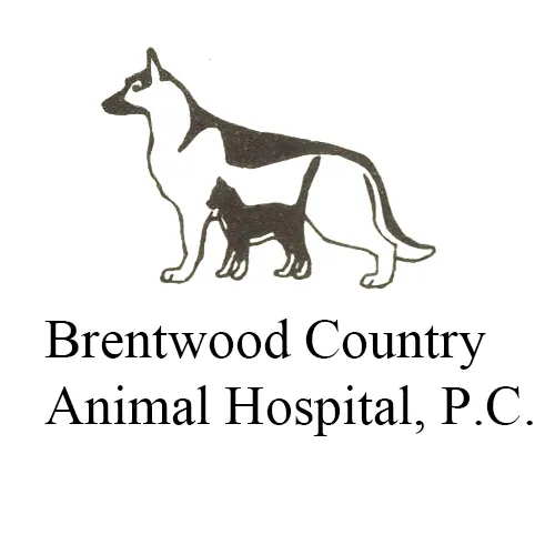 Brentwood Country Animal Hospital, PLLC 8