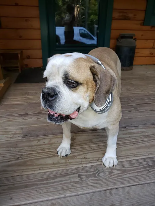 Brentwood Country Animal Hospital: Hunt Julia DVM 1