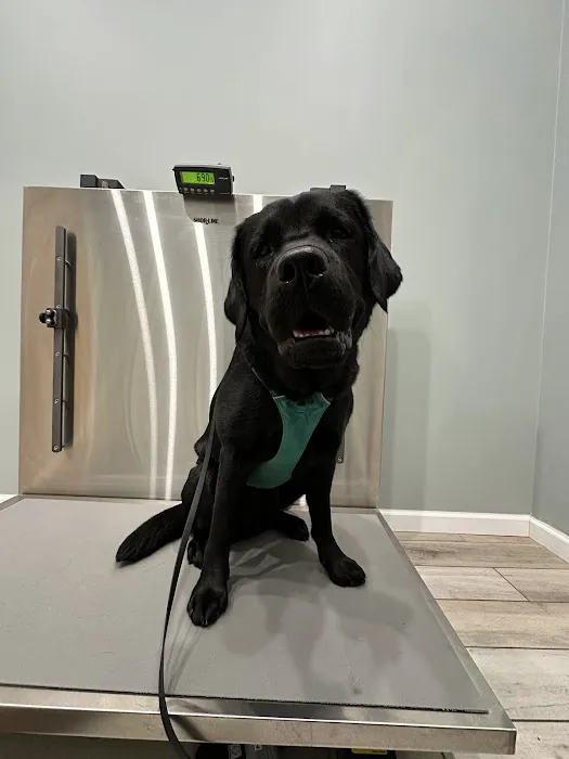 The Veterinary Wellness Center 2