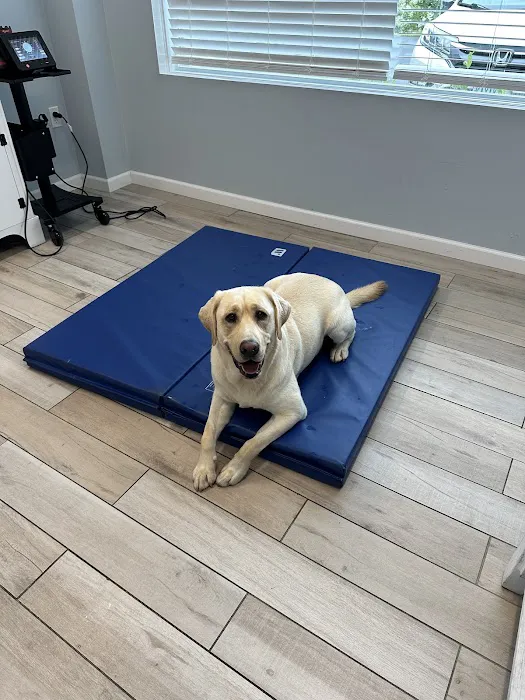 The Veterinary Wellness Center 6