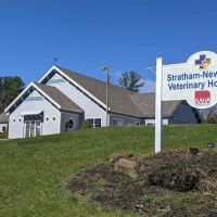 Stratham-Newfields Veterinary Hospital ico