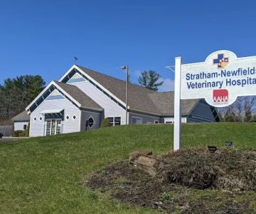 Stratham-Newfields Veterinary Hospital