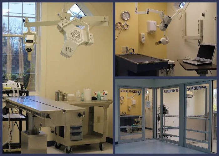 Stratham-Newfields Veterinary Hospital 2