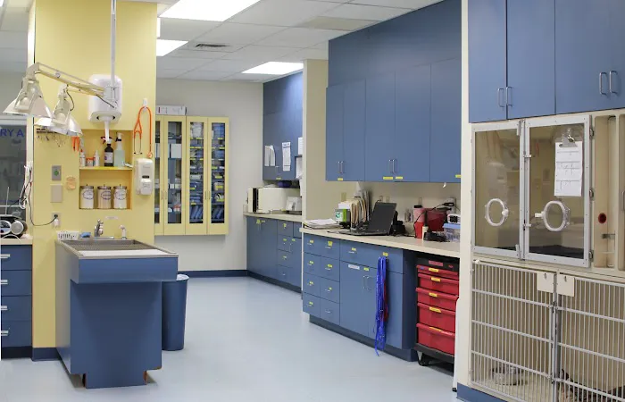 Stratham-Newfields Veterinary Hospital 5