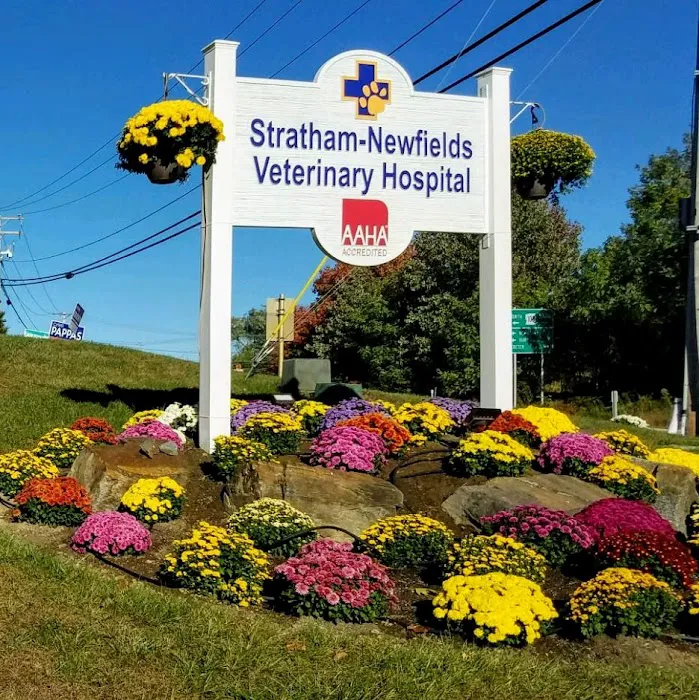 Stratham-Newfields Veterinary Hospital 6