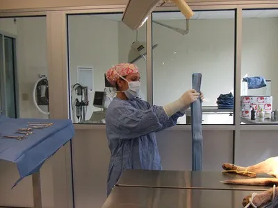 Stratham-Newfields Veterinary Hospital 10