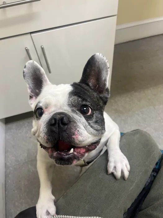 Huron Veterinary Hospital 1