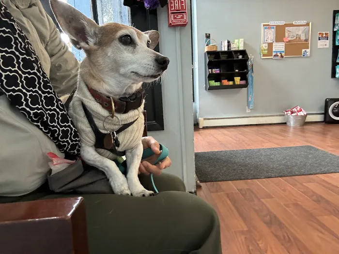 Huron Veterinary Hospital 2