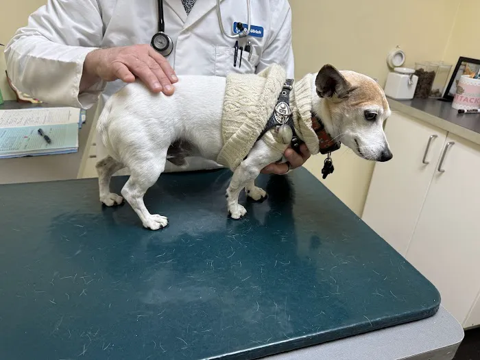 Huron Veterinary Hospital 5