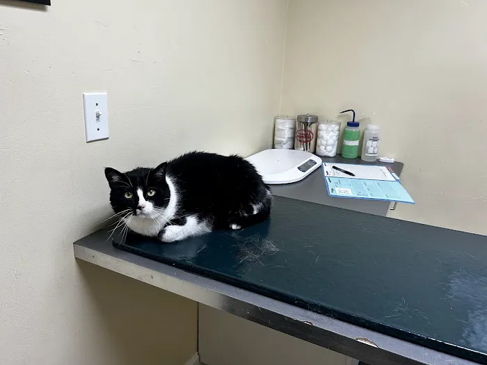 Huron Veterinary Hospital 8