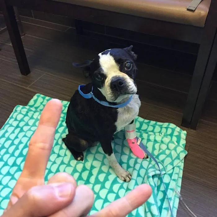 Huron Veterinary Hospital 7