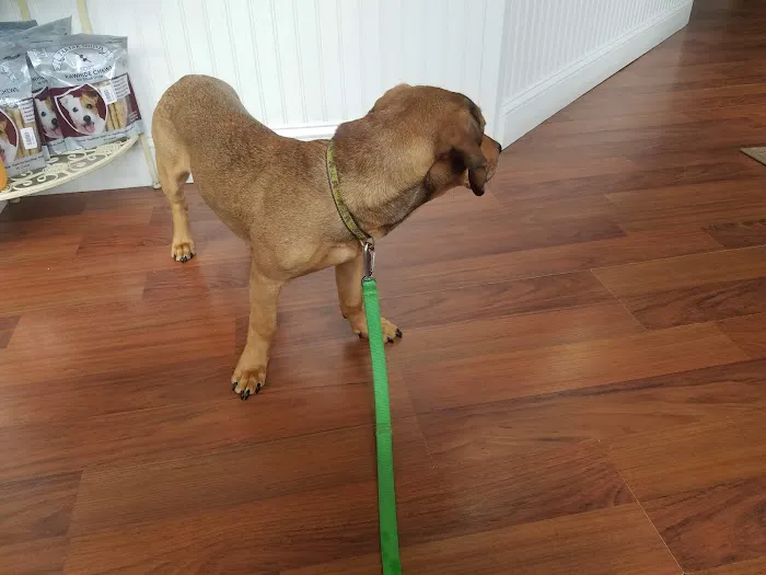 Huron Veterinary Hospital 9