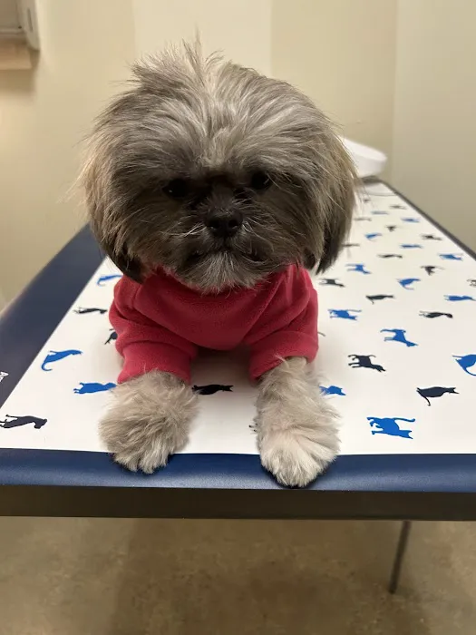Vetco Total Care Animal Hospital 7