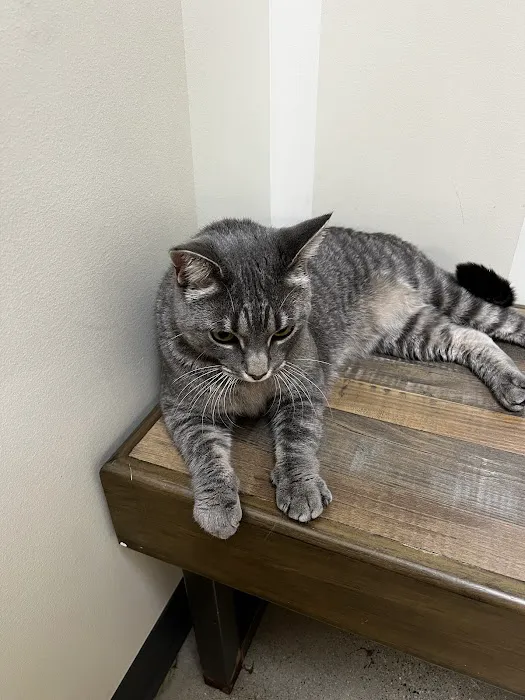 Vetco Total Care Animal Hospital 9